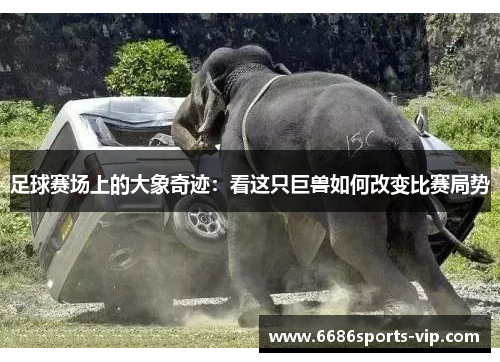 足球赛场上的大象奇迹：看这只巨兽如何改变比赛局势