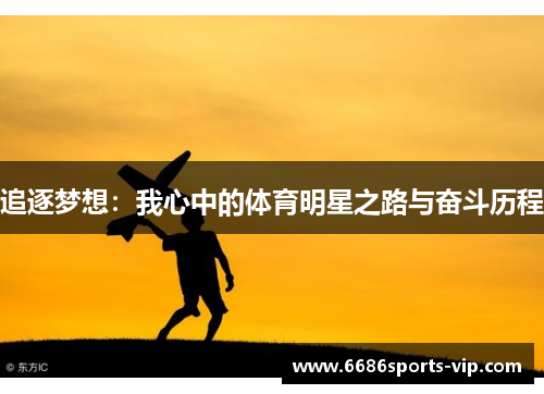 追逐梦想：我心中的体育明星之路与奋斗历程